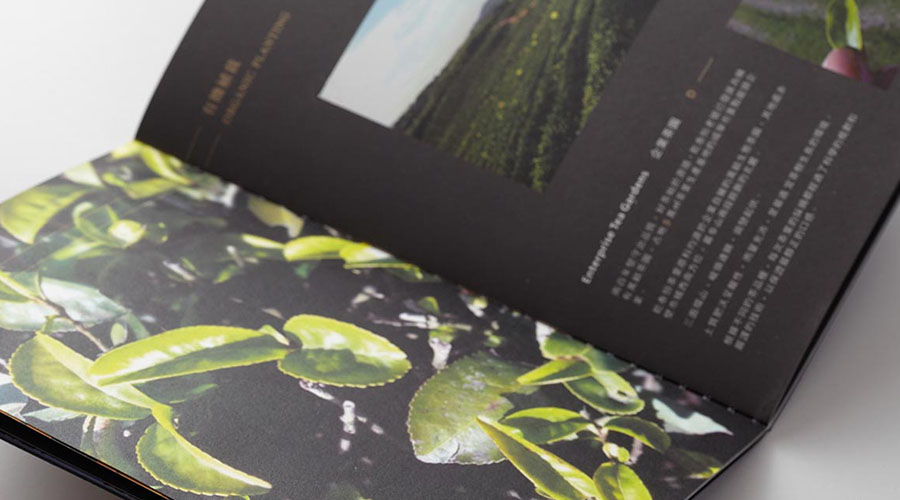 重慶茶葉畫冊設計